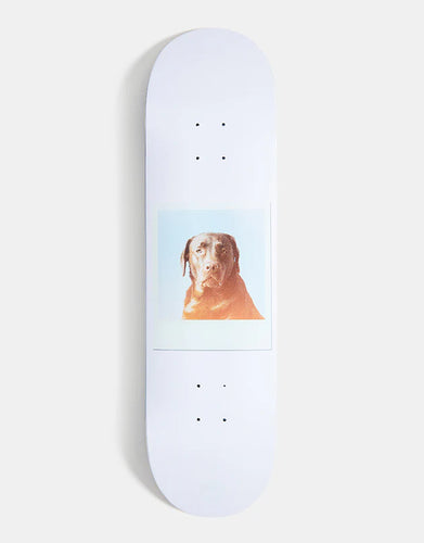 LC Jart Instant Film Deck 8.375