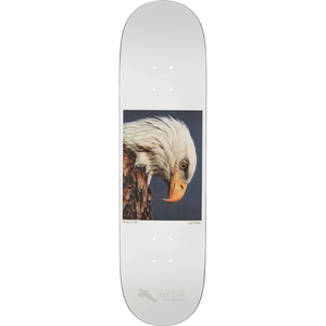 Zero Burleigh Hess Nature Bald Eagle Deck 8.5