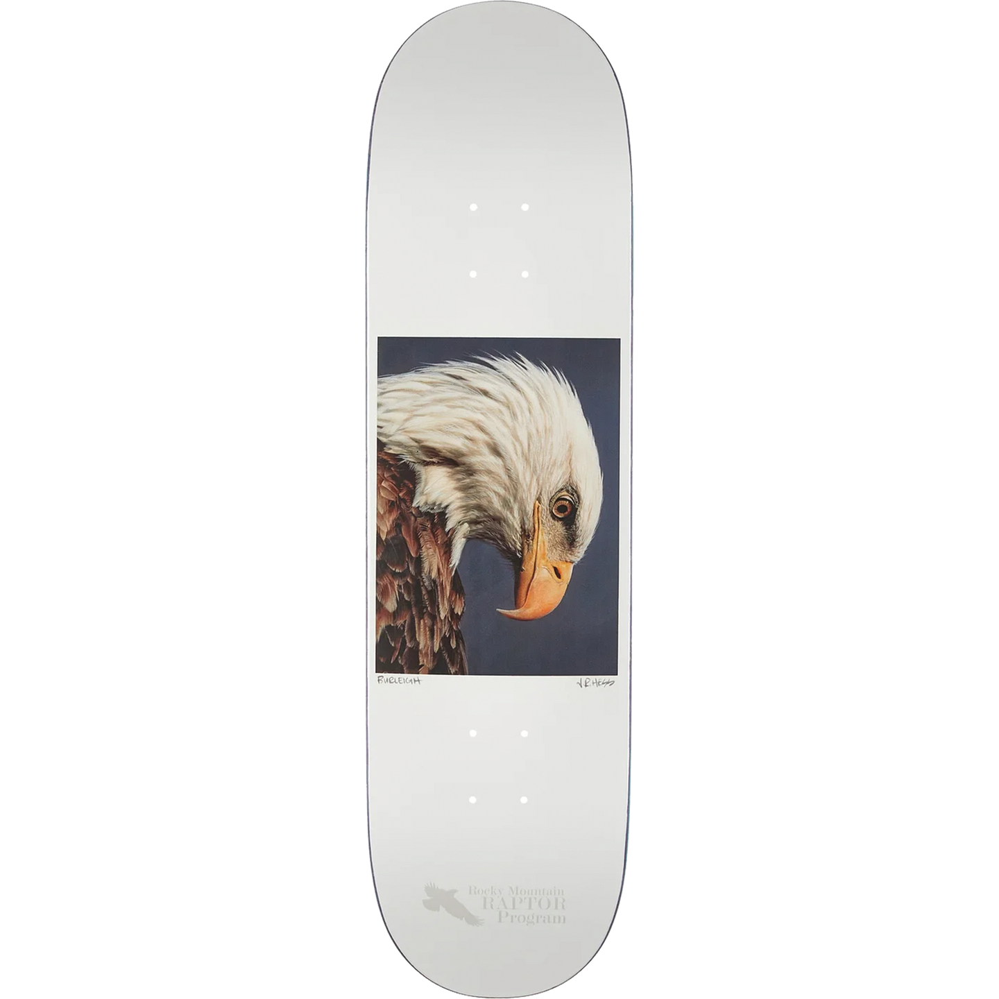Zero Burleigh Hess Nature Bald Eagle Deck 8.5