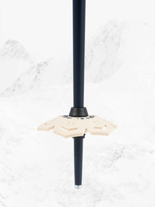 Armada Legion Poles 2026