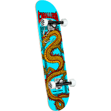 Load image into Gallery viewer, Powell Peralta Cab Chinese Dragon Complete